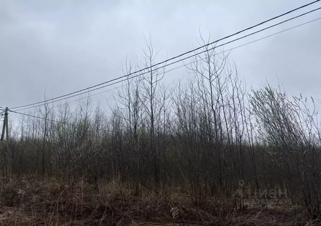 Участок в Московская область, Электрогорск Павлово-Посадский городской ... - Фото 0