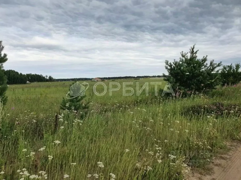 Участок в Тюменская область, Тюмень Поле Чудес садовое товарищество, ... - Фото 0