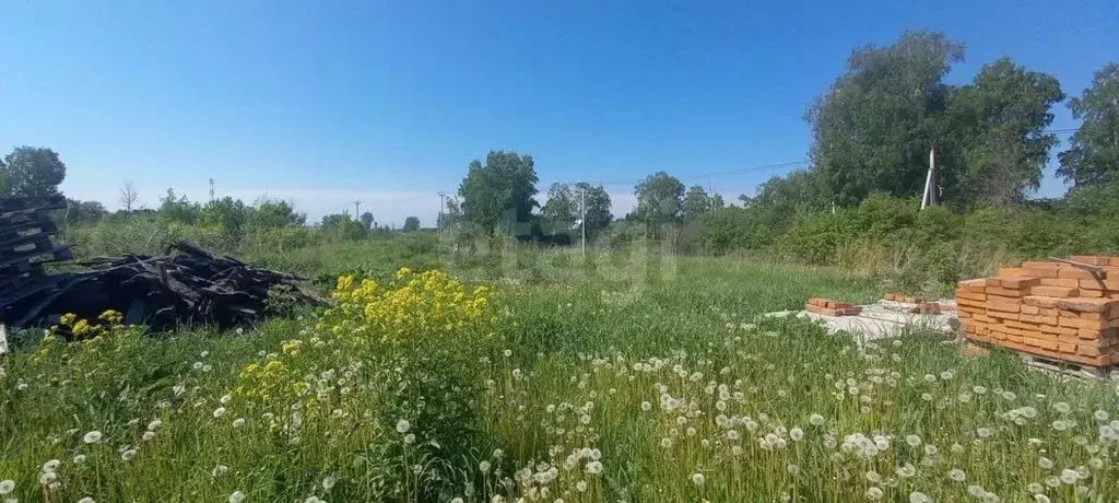 Участок в Кемеровская область, Кемеровский район, Буреничево рзд ... - Фото 1
