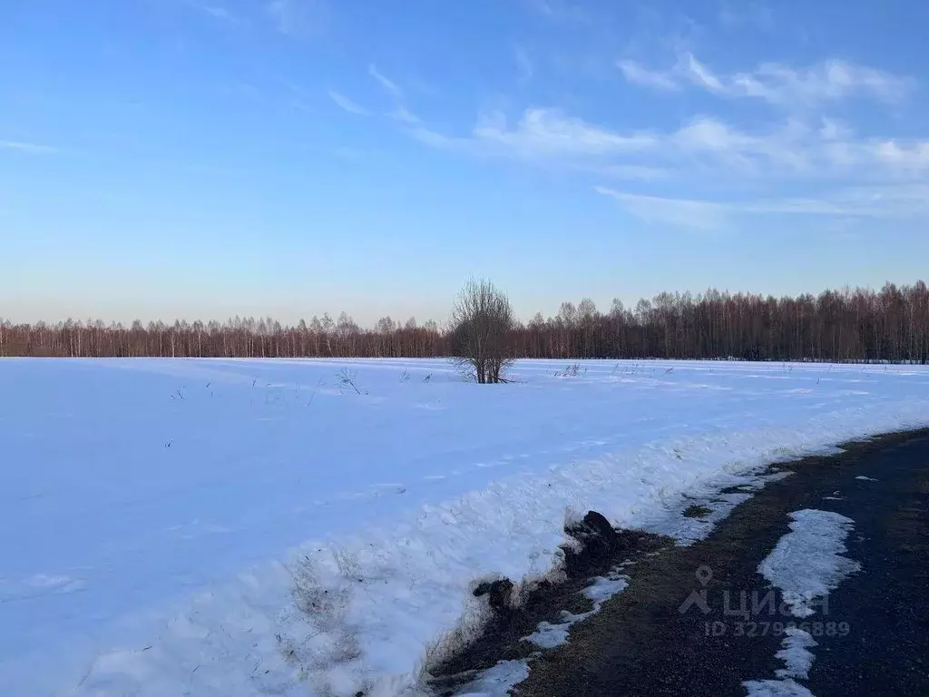 Участок, 1100 сот., фермерское хоз-во - Фото 2