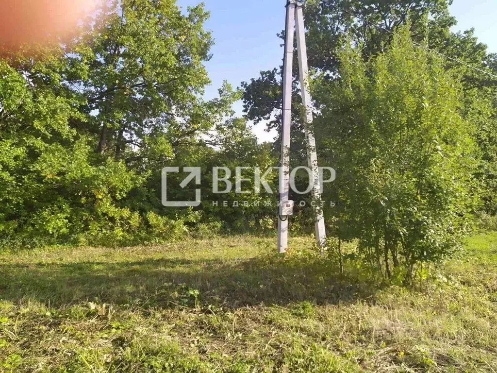 Участок в Владимирская область, Суздальский район, с. Новоалександрово ... - Фото 1