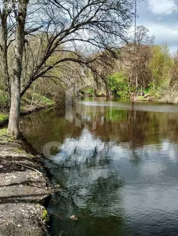 Участок в село Рождественская Хава, Лесная улица, 44Б (10.49 м) - Фото 2