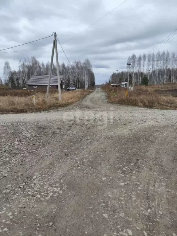 Участок в Новосибирская область, Новосибирский район, Барышевский ... - Фото 1