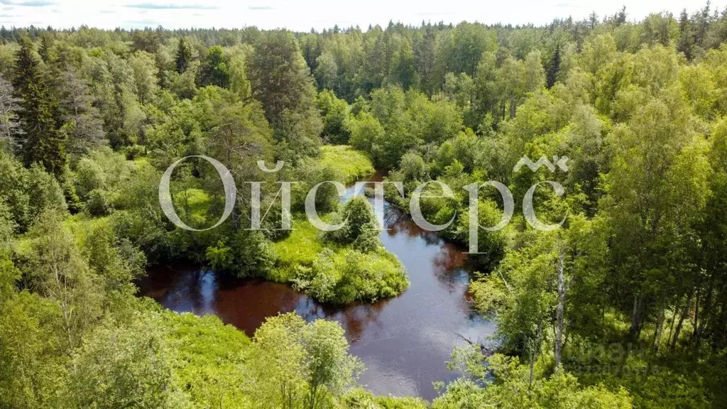 Участок в Ленинградская область, Выборгский район, Первомайское с/пос, ... - Фото 1