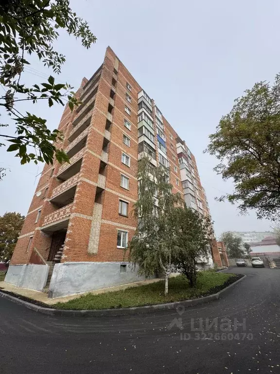 1-к кв. Тульская область, Ефремов Комсомольская ул., 81 (25.1 м) - Фото 1