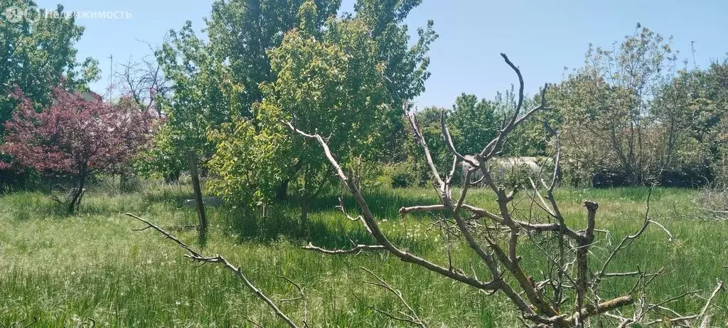 Участок в село Витязево, Заводская улица (3 м) - Фото 0