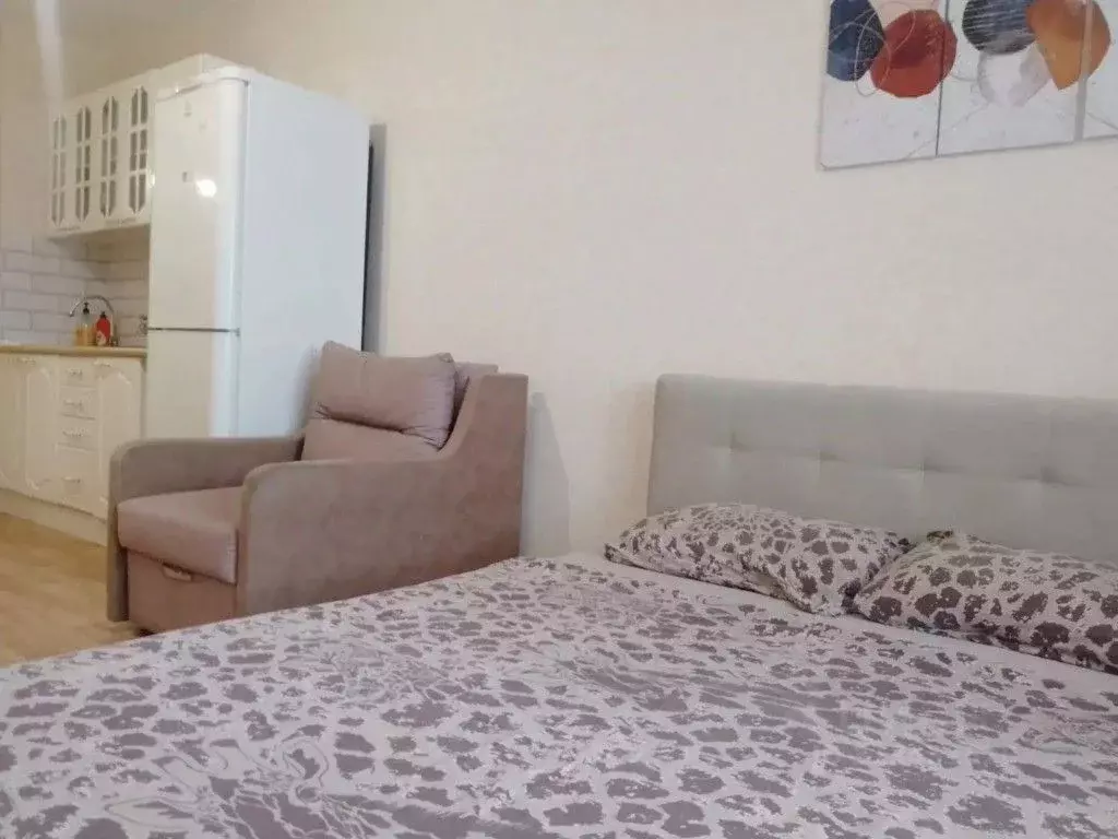 1-к кв. Томская область, Томск Большая Подгорная ул., 87 (25.0 м) - Фото 1
