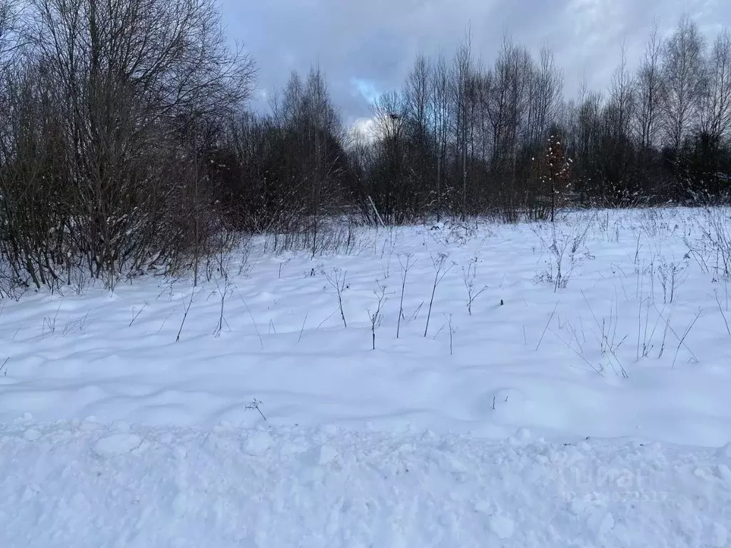 Участок в Московская область, Клин городской округ, с. Борщево  (7.62 ... - Фото 0