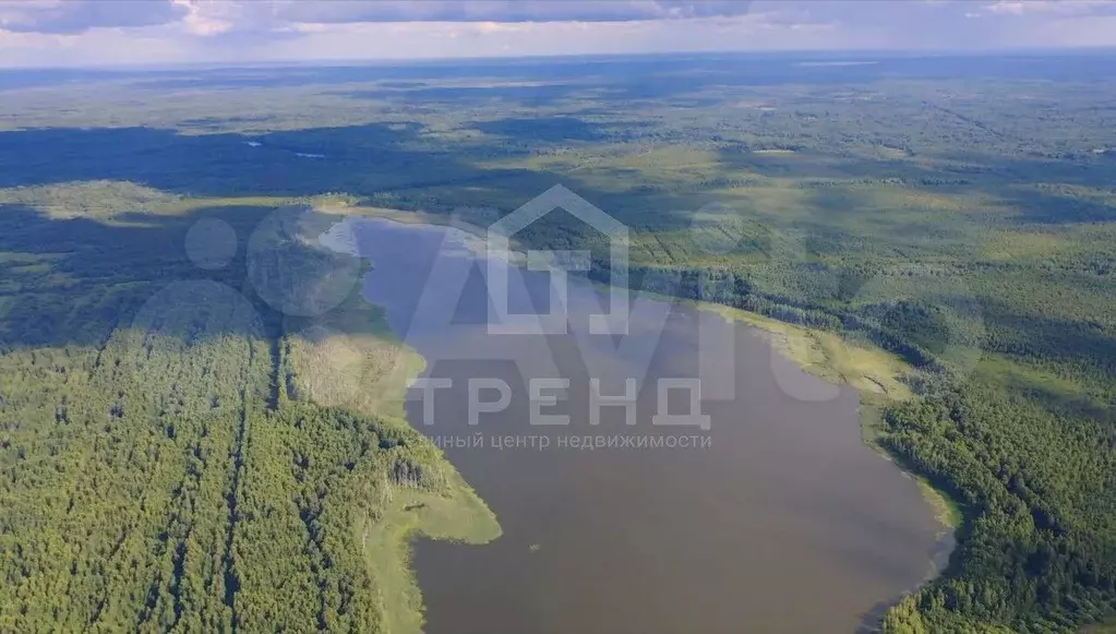 Участок 12 сот. (СНТ, ДНП) - Фото 1