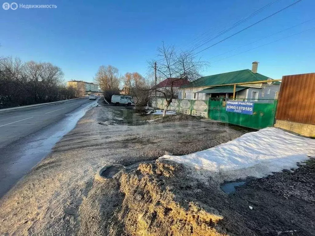 Участок в Рамонский район, село Новоживотинное (24 м) - Фото 1