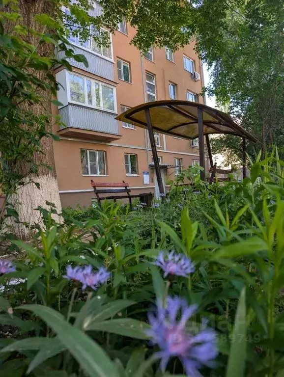 1-к кв. Воронежская область, Воронеж Пушкинская ул., 36 (32.0 м) - Фото 1