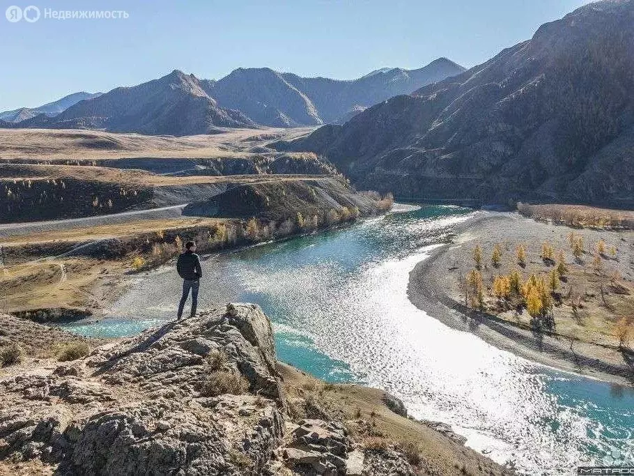 Участок в Онгудайский район, Купчегенское сельское поселение (4 м) - Фото 2