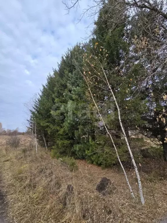 Участок в Томская область, Томский район, Изумруд садовое товарищество ... - Фото 1