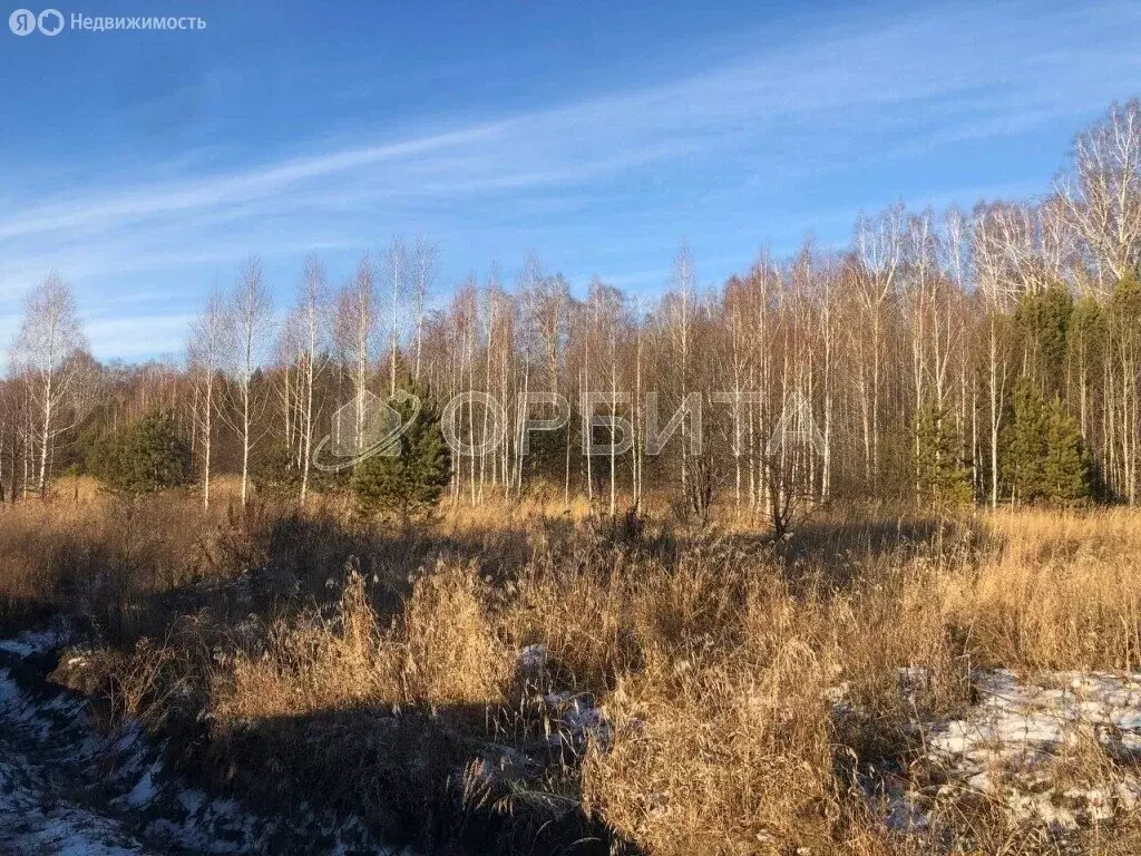 Участок в Тюменский муниципальный округ, Мальковское муниципальное ... - Фото 0