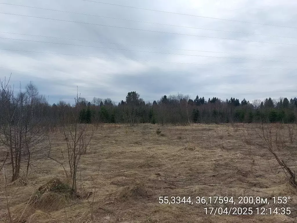 Участок в Московская область, Верея Наро-Фоминский городской округ,  ... - Фото 0