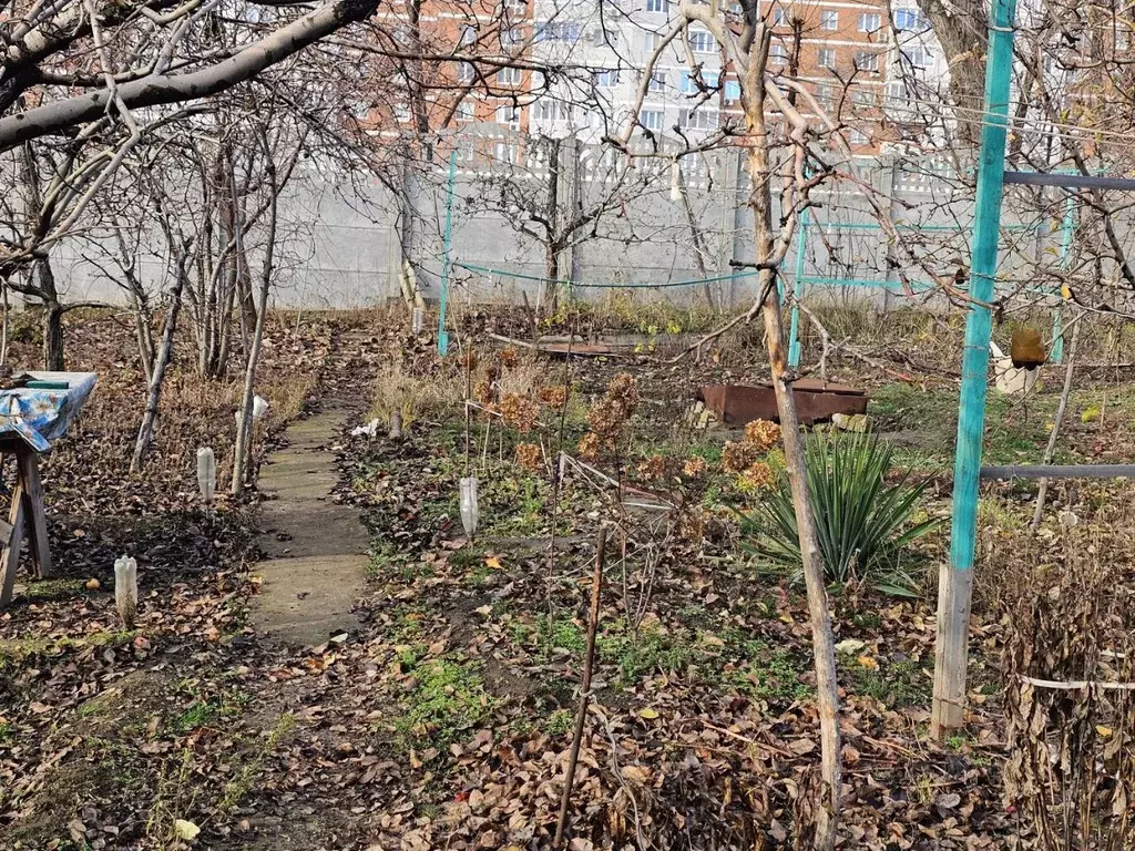 Дом в Волгоградская область, Волгоград ул. Героев Тулы, 6/22 (30 м) - Фото 1