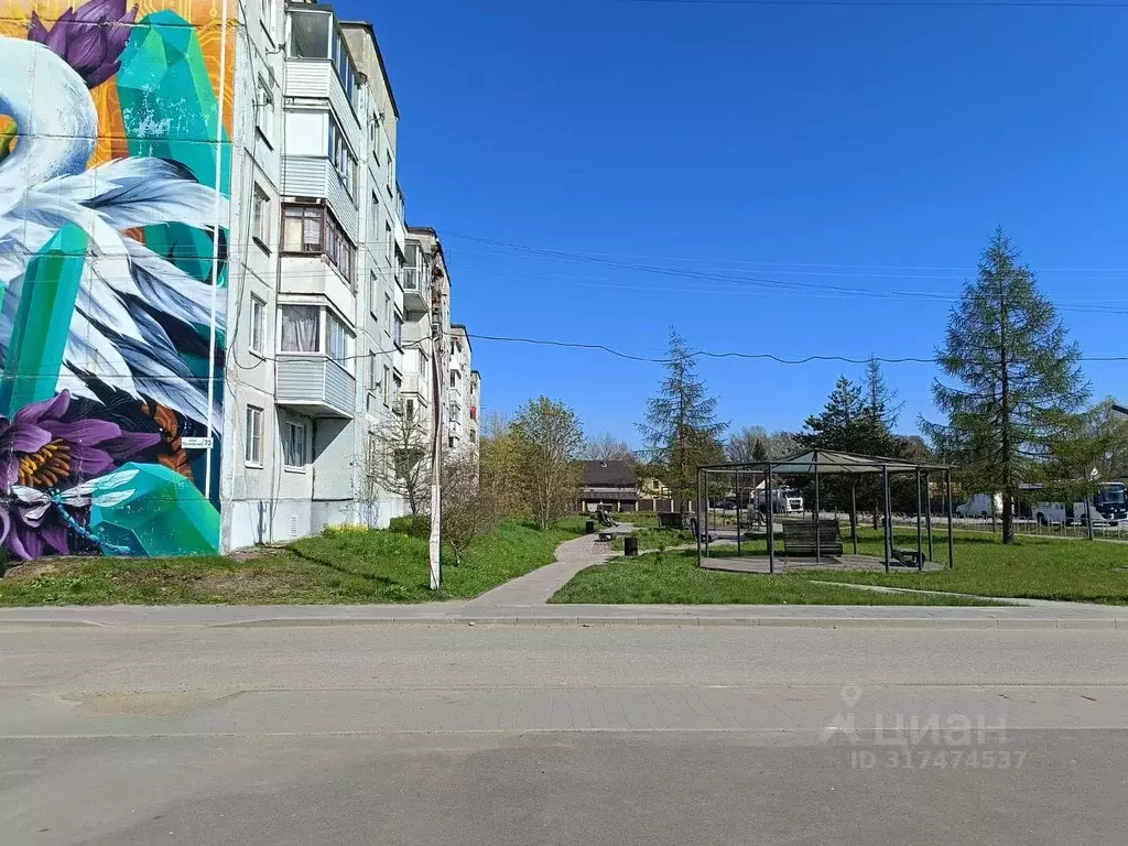 1-к кв. Ленинградская область, Ломоносовский район, Лебяженское ... - Фото 0
