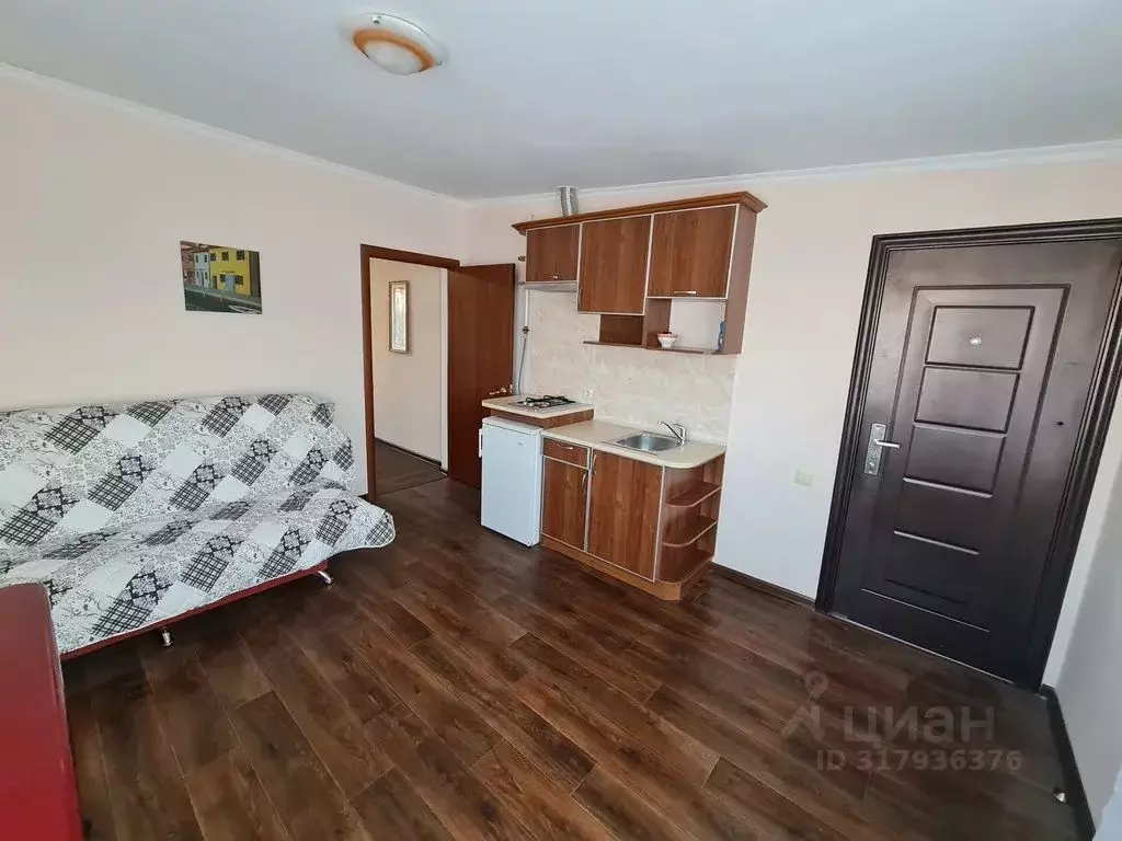 Студия Крым, Сакский район, с. Штормовое ул. Ленина, 9 (31.0 м) - Фото 0