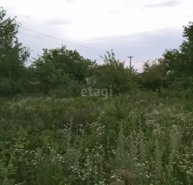 Участок в Старостаничное сельское поселение, садоводческое ... - Фото 0