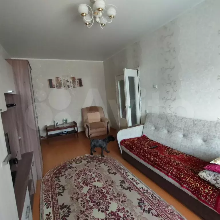 3-к. квартира, 60 м, 2/5 эт. - Фото 1