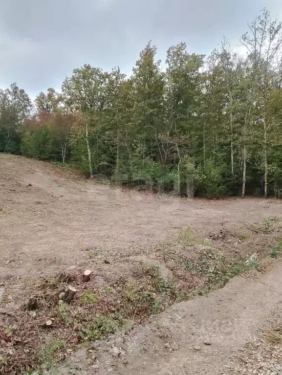 Участок в Краснодарский край, Геленджик городской округ, Широкая Щель ... - Фото 2