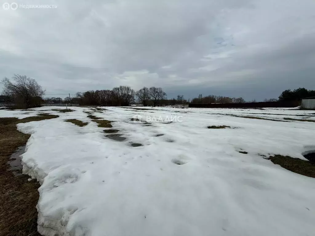 Участок в Московская область, муниципальный округ Зарайск, деревня ... - Фото 1