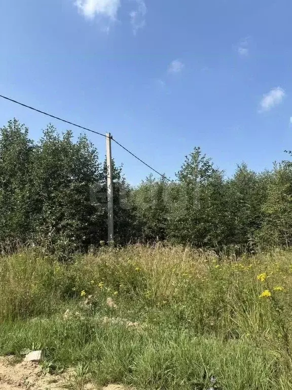 Участок в Ярославская область, Ярославский муниципальный округ, д. ... - Фото 2