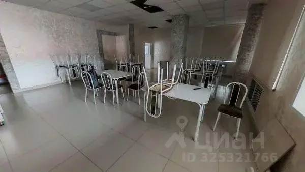 Помещение свободного назначения в Алтай, Горно-Алтайск ул. Эркемена ... - Фото 1