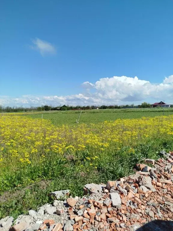 Участок в Краснодарский край, Ейский район, с. Кухаривка ул. Свободы ... - Фото 2