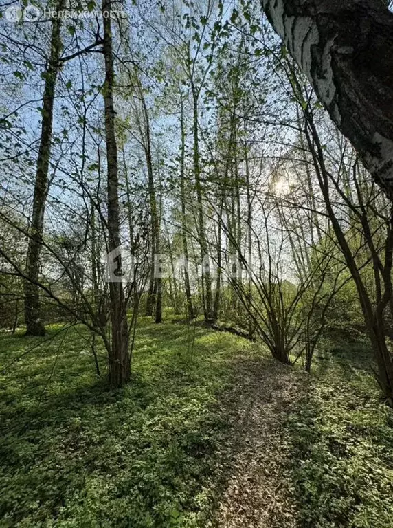 Участок в Московская область, Раменский муниципальный округ, СНТ ... - Фото 1