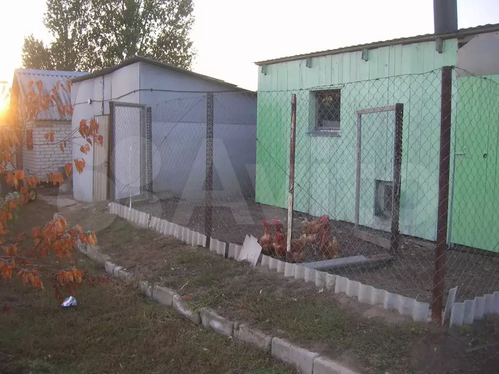 Дом 55 м на участке 15 сот. - Фото 1