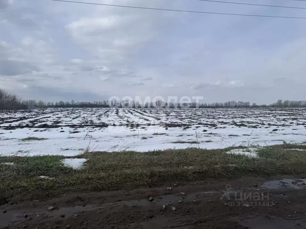 Участок в Марий Эл, Медведевский район, Руэмское с/пос, д. Крутой ... - Фото 1