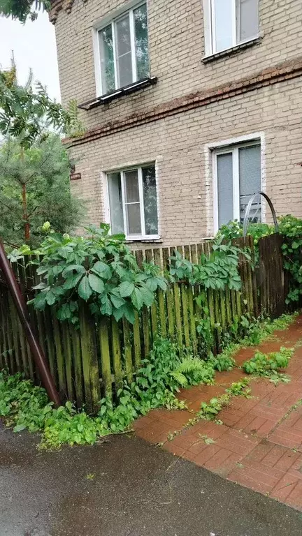 1-к. квартира, 35 м, 1/2 эт. - Фото 1