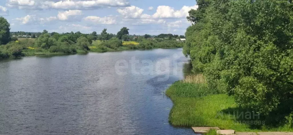 Участок в Тверская область, Калининский муниципальный округ, д. ... - Фото 1