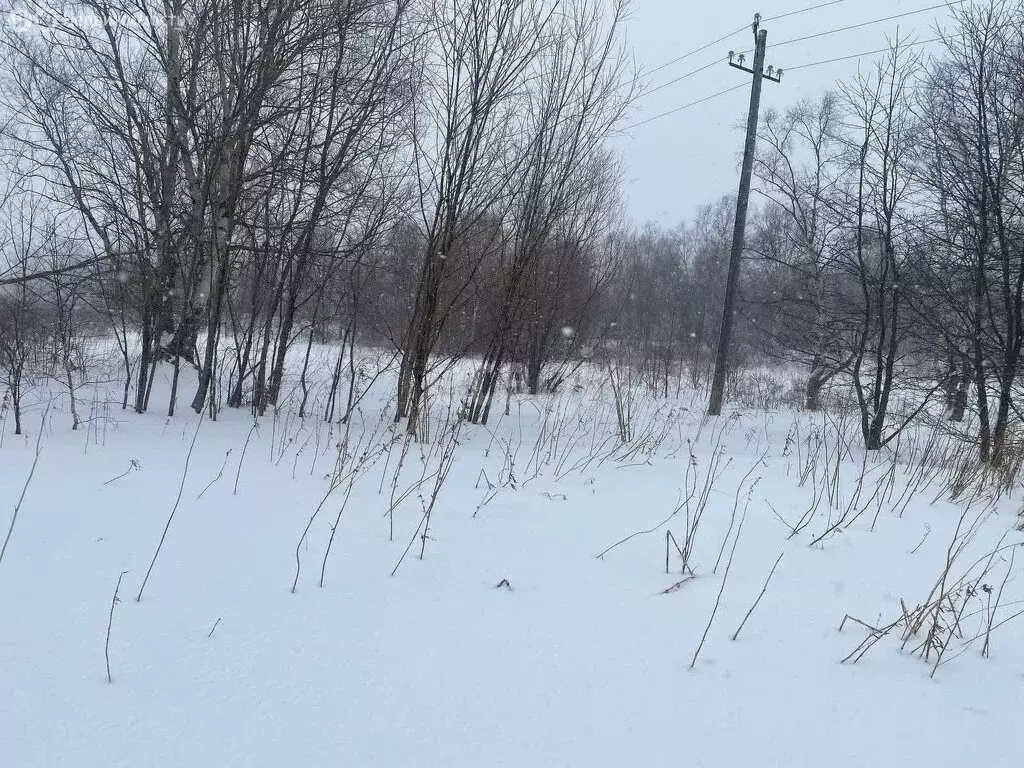 Участок в Новоавачинское сельское поселение, посёлок Двуречье (15 м) - Фото 1