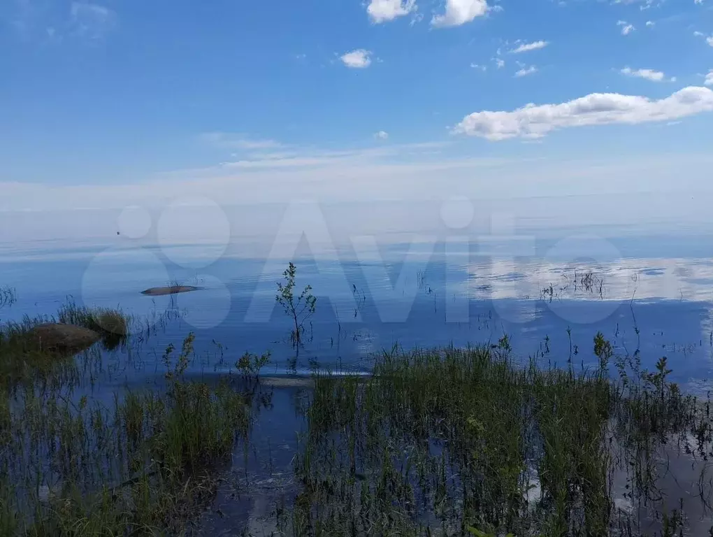 Участок 4,75 га (СНТ, ДНП) - Фото 1