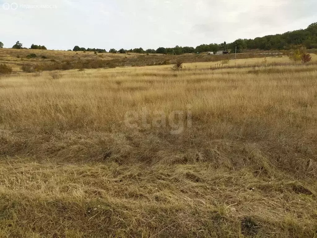 Участок в Бахчисарайский район, село Ароматное (196.08 м) - Фото 1