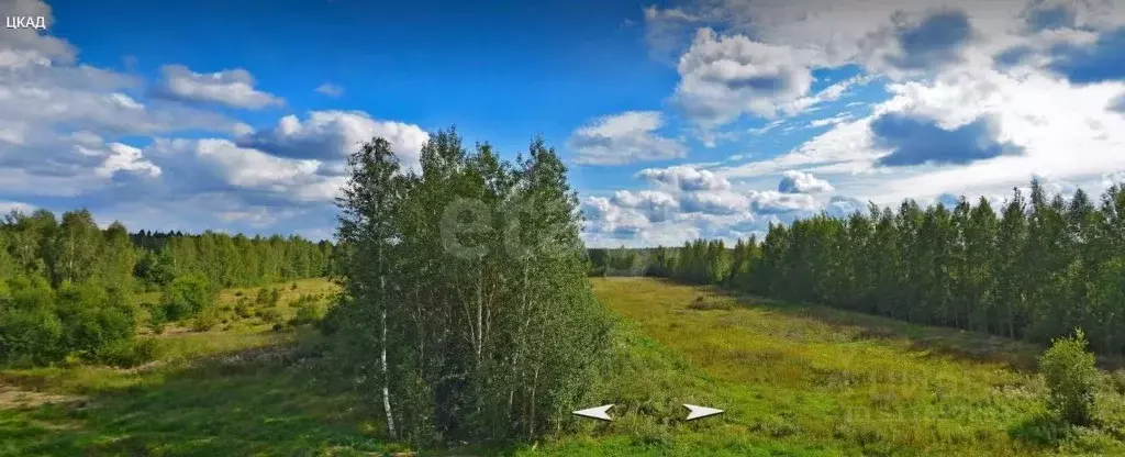 Участок в Московская область, Солнечногорск городской округ, д. ... - Фото 0