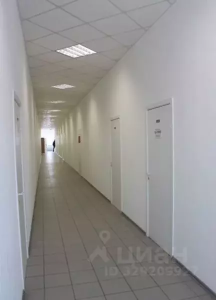 Офис в Новосибирская область, Новосибирск Светлановская ул., 50/2 (25 ... - Фото 2