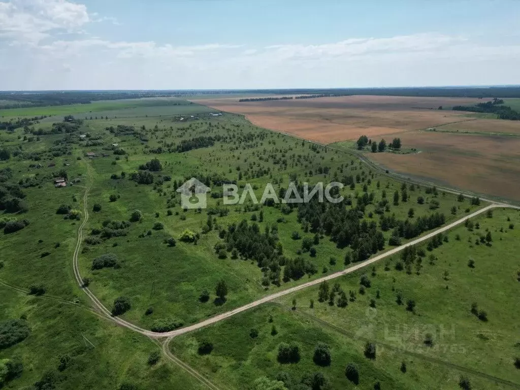 Участок в Пензенская область, Шемышейский район, д. Малыгино ул. ... - Фото 1