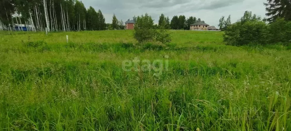 участок в смоленская область, смоленский муниципальный округ, . - Фото 0