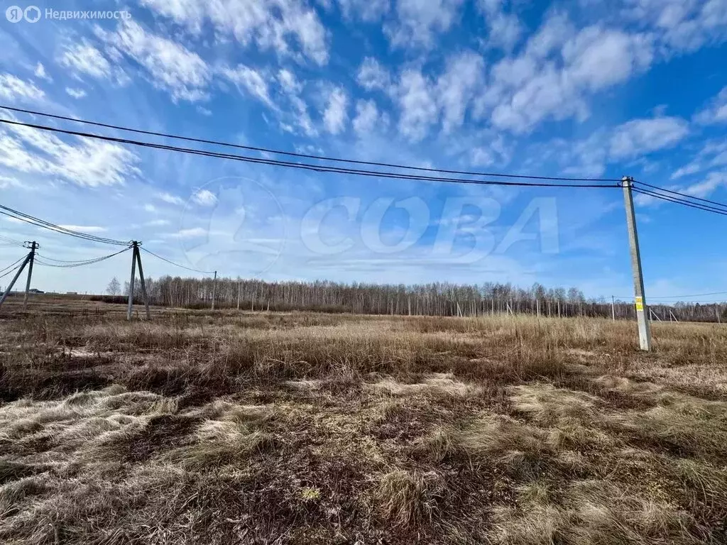 Участок в Тюменский муниципальный округ, деревня Большие Акияры (8 м) - Фото 1