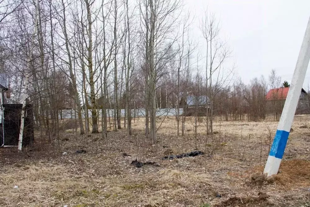 Участок в Московская область, Пушкинский городской округ, с. ... - Фото 1