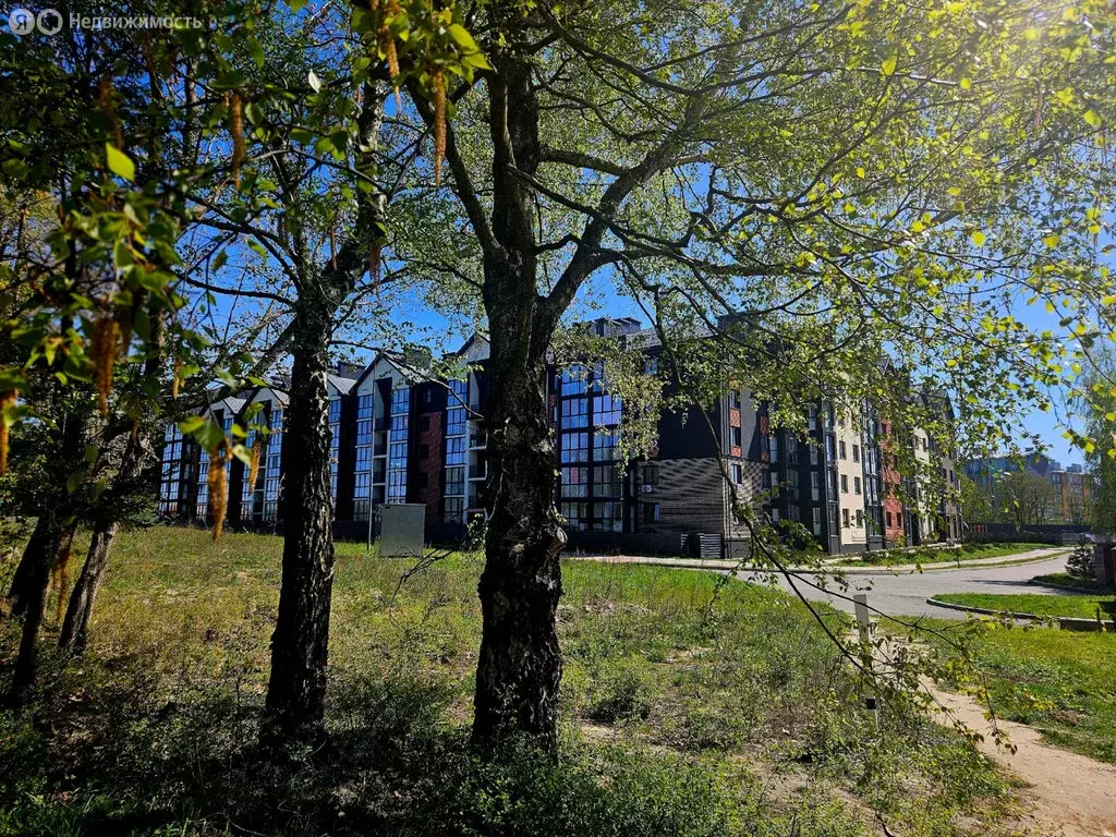 1-комнатная квартира: Пионерский, Рабочая улица, 33 (31.2 м) - Фото 1