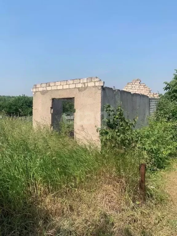 Участок в Амурская область, Благовещенск  (10.0 сот.) - Фото 1