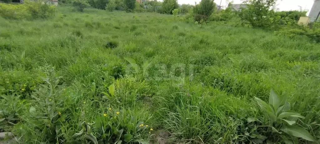 Участок в Северная Осетия, Владикавказ Учитель СТ, 398/2 (5.0 сот.) - Фото 2