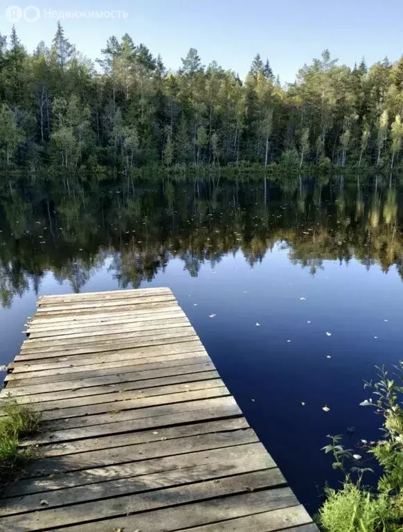 Участок в Ретюнское сельское поселение, деревня Волосковичи (18 м) - Фото 1