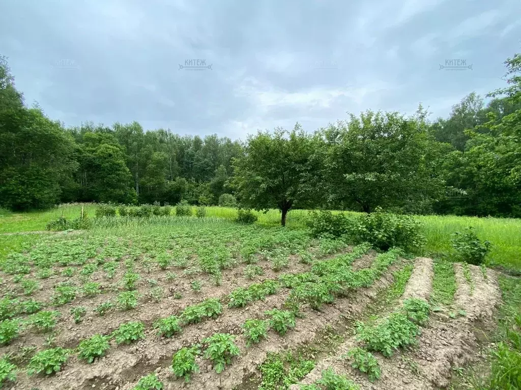 Дом в Калужская область, Перемышльский район, Покровское с/пос, д. ... - Фото 2