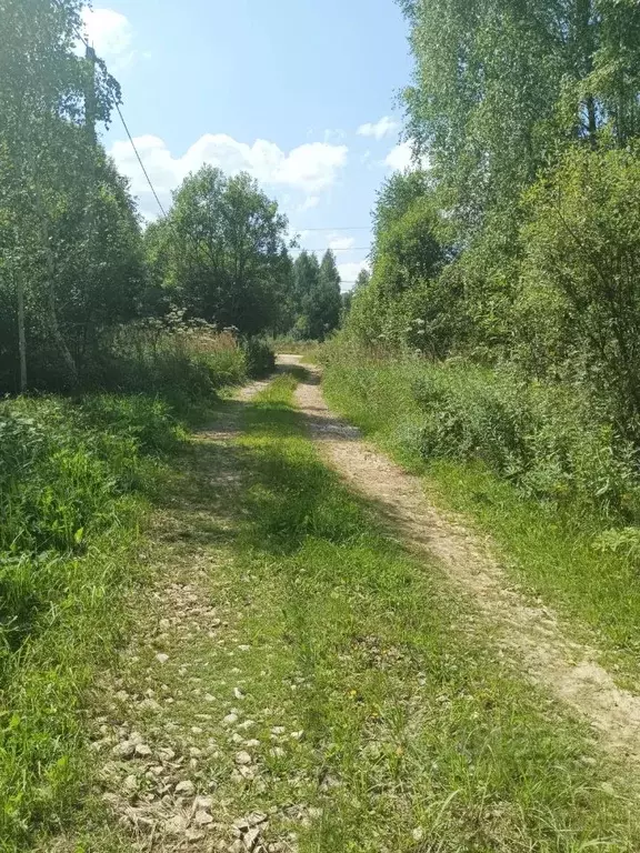 Участок в Калужская область, Тарусский район, Алекино с/пос, Песочное ... - Фото 1