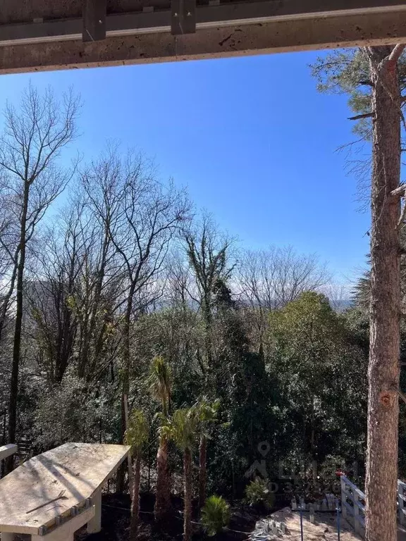 4-к кв. Краснодарский край, Сочи Адлер жилрайон, Курортный Городок ... - Фото 2